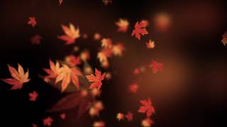 Autumn spinning backgrounds  loopable animation [upl. by Feola397]