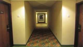 Full Hotel Tour DoubleTree by Hilton San Jose Airport [upl. by Jo Ann]