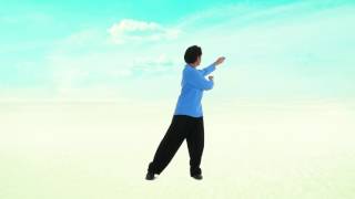 Perth Taichi Academy 18 Taiji Qigong [upl. by Camilo]