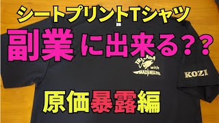 【副業に出来る？】シートプリントTシャツ【原価検証編】 [upl. by Lillis]