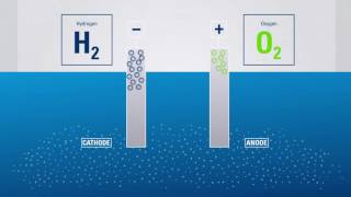 Electrolysis Producing hydrogen from water [upl. by Lettig959]