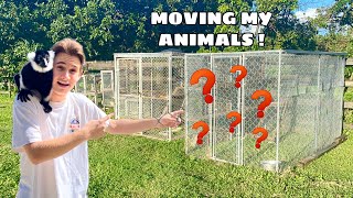 MOVING ALL MY ANIMALS TO MY NEW ZOO  Part 1 [upl. by Fesoy]