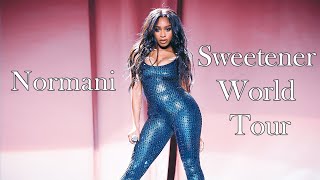 Normani  Live At The Sweetener World Tour  Filmed By You [upl. by Osbourne172]