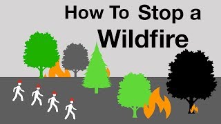 How to Stop a Wildfire [upl. by Auqined744]