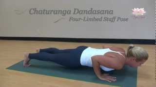 FourLimbed Staff Pose Chaturanga Dandasana How to do [upl. by Iemaj]