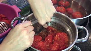 MAKING tomato soup from fresh tomatoes [upl. by Netfa390]