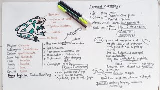 Morphology Of Frog Class 11 [upl. by Suollecram]