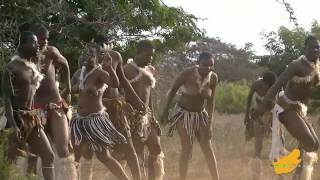 ZuidAfrika Zulu Dans Hluhluwe 13 [upl. by Pearl]