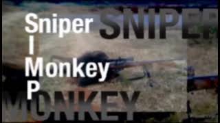 Sniper Monkey [upl. by Annecorinne]