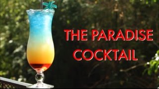 How To Make A Paradise Tropical Layered Cocktail  Drinks Made Easy [upl. by Nilyarg]