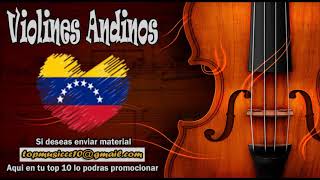 Violines Andinos [upl. by Klein820]