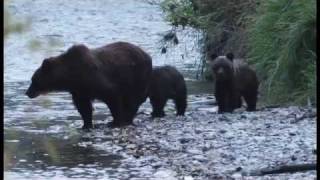 Tweedsmuir Park Lodge Bella Coola BC Canada [upl. by Ras]