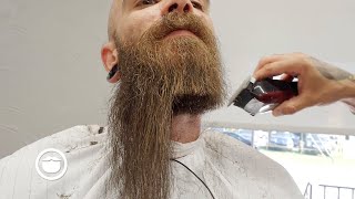 Top 10 Best Beard Transformational Trims [upl. by Jewel59]