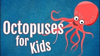 Octopuses for Kids [upl. by Enyrhtac54]