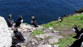 A Journey to Skellig Michael During Puffin Season [upl. by Sapphira783]