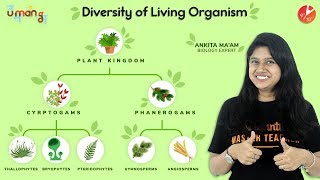 Diversity in Living Organisms L2  Vedantu Class 9 Biology  NCERT Science Chapter 7  Plant Kingdom [upl. by Proulx]