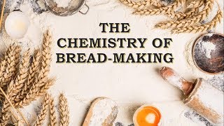 The Chemistry of Breadmaking [upl. by Hareehat774]