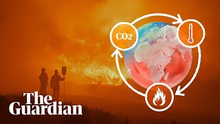 The climate science behind wildfires why are they getting worse [upl. by Ellerud]