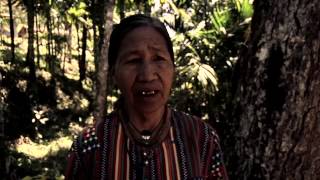 Tribal sounds of the Philippines • IFUGAO [upl. by Robbins]