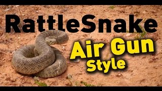 Rattle Snake Hunt Real Air Gun Hunting  American Airgunner TV [upl. by Ahsyen]