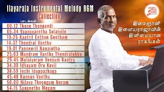 The Maestro  Ilayaraja Instrumental BGM Volume 02  Aram Music [upl. by Leuqim]