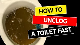 How to Unclog a Toilet Fast 🚽 [upl. by Halley]