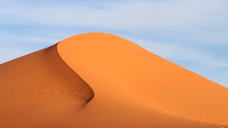 The Sahara desert  Ecosystems [upl. by Ylloj]