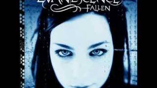 EvanescenceBring Me To Lifewith lyrics [upl. by Grefe]