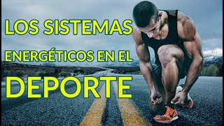 LOS SISTEMAS ENERGÉTICOS EN EL DEPORTE [upl. by Wilmette61]