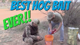 Easy DIY Hog Bait  GUARANTEED to bring in wild hogs [upl. by Annoda]