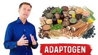 What are Adaptogens – Ashwagandha Explained by Dr Berg [upl. by Aphra]