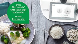 Thermomix® TM6 Modus Reis kochen [upl. by Ardnekahs720]