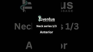 Neck Series 13 ￼Anterior Muscles SCM platysma scalenes ￼ [upl. by Earej730]