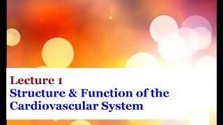 Lecture 1  Introduction to the Cardiovascular System [upl. by Ignatz392]