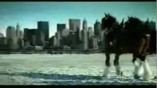 Budweiser 911 tribute commercial [upl. by Ashok]