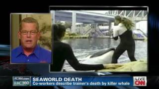 SeaWorld trainers describe death details [upl. by Ahsertal]