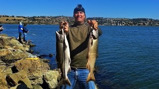 How to Catch quotSALMONquot from Shore  Tips amp Techniques  Late Fall Run  Salmon Fishing California [upl. by Verlie114]