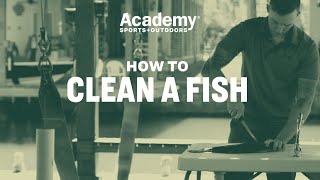 How To  Clean a Fish [upl. by Ilehs]