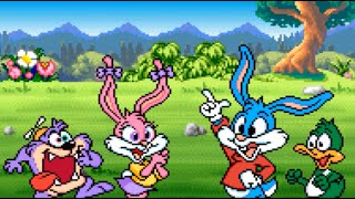 Tiny Toon Adventures Wacky Sports Challenge SNES Playthrough  NintendoComplete [upl. by Zara]