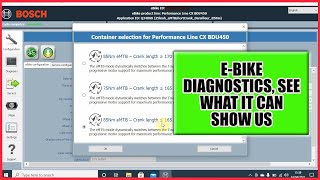 Bosch Diagnostic walkthrough on an Orbea Wild Ebike [upl. by Jameson635]