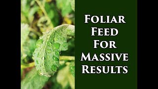 Foliar Feeding Vegetable Plants For Insane Yields 2018 [upl. by Llebyram]