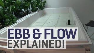 Ebb and Flow Hydroponics Explained [upl. by Laleb]