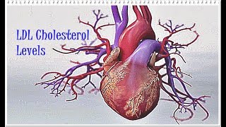 Low LDL vs High HDL Density Lipoprotein Cholesterol Explained [upl. by Tosch344]