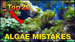 Cant beat algae in your tank This is probably why Top 20 Algae Fighting Mistakes [upl. by Liberati]