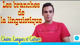 Les branches de la linguistique Introduction à la linguistique [upl. by Lede54]