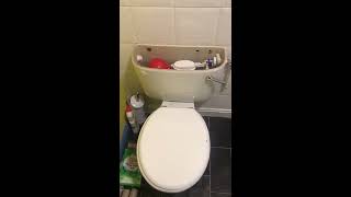 How To Turn Off The Water To Your Toilet  By Pristine Plumbers UK [upl. by Elboa]