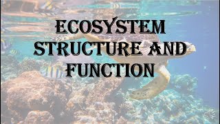 Ecosystem  structure and function  HPU BSc 1st year [upl. by Bensen555]