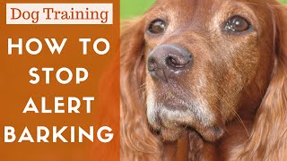 How To Train A Dog To Stop Alert Barking [upl. by Resarf]