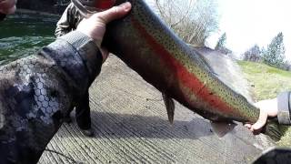 Steelhead fishing at the steelhead capital of Idaho [upl. by Oringa]