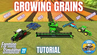 HOW TO GROW GRAINS  Farming Simulator 22 [upl. by Salis]